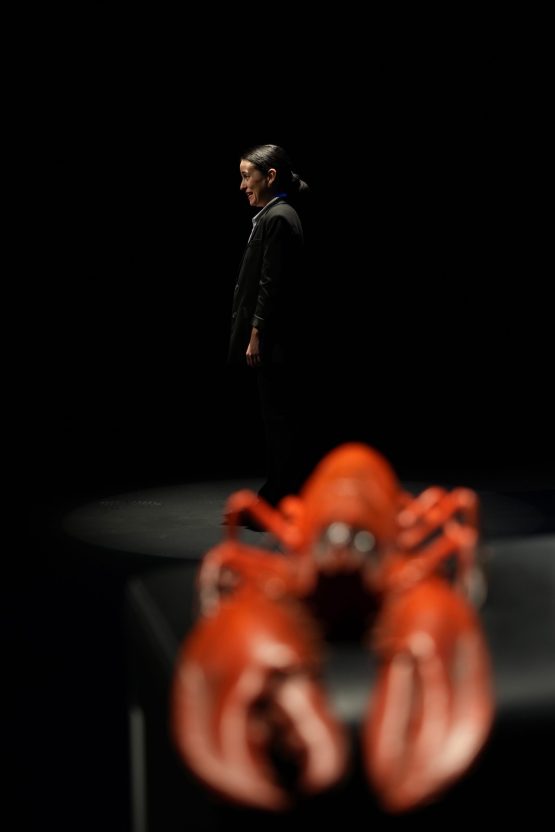 ΔΗΠΕΘΕ ΣΕΡΡΩΝ